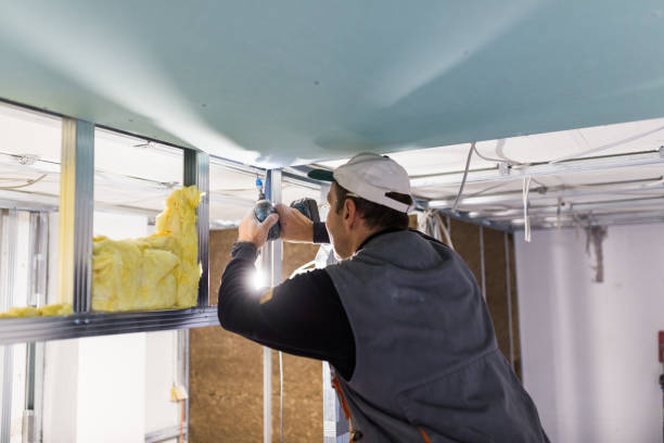 Best Cellulose Insulation  in Oskaloosa, IA