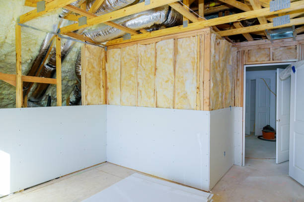 Best Wall Insulation Contractor  in Oskaloosa, IA