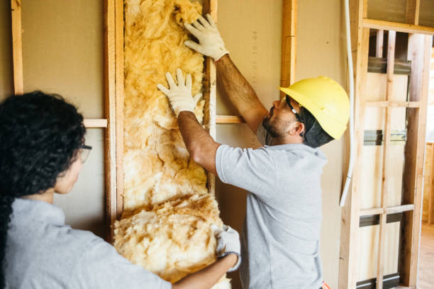 Best Garage Insulation Installation  in Oskaloosa, IA