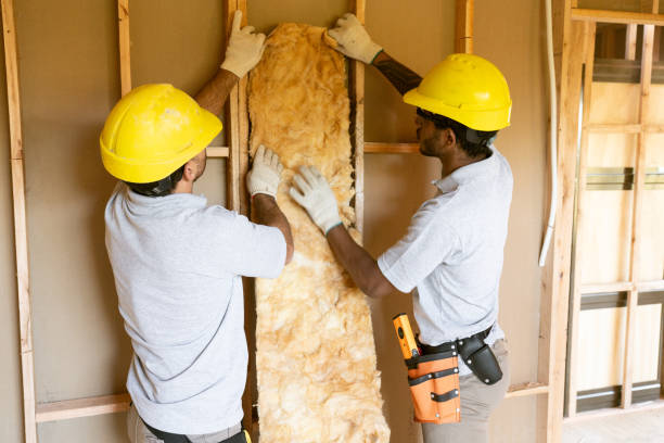 Best Crawl Space Insulation  in Oskaloosa, IA